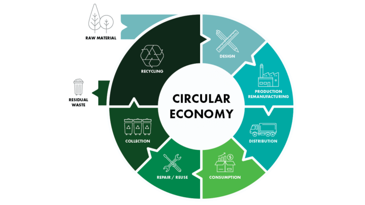 Circular Economy – The Future We Can Build Today – Earthtree